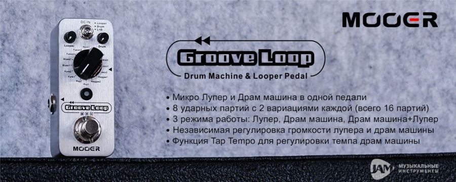 001 MOOER GROOVE LOOP.jpg