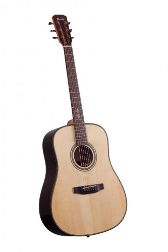 Акустическая гитара Prima MAG215 - JCS.UA фото 2