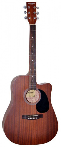 Акустична гітара MAXWOOD MD-6645C - JCS.UA