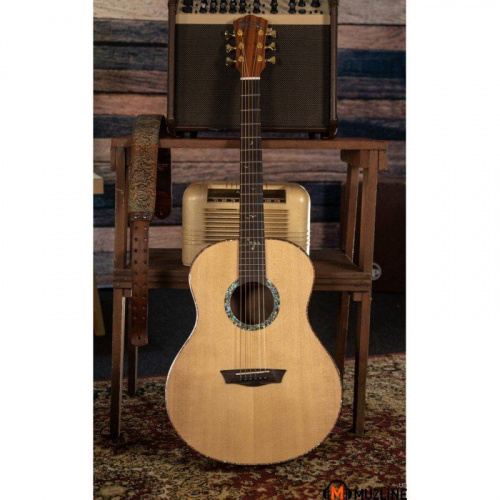 Акустическая гитара Washburn ELEGANTE S24S - JCS.UA фото 5