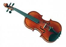 Скрипка GLIGA Violin1/10Gama I - JCS.UA