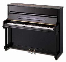 Акустическое фортепиано Pearl River UP118M Ebony - JCS.UA