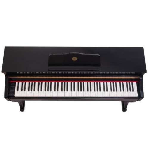 Цифрове піаніно Alfabeto Maestro (Black) BK - JCS.UA фото 2