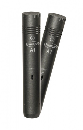 Комплект мікрофонів PRODIPE A1 Duo - JCS.UA