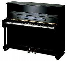 Акустическое фортепиано Ritmuller EU118S Ebony EU - JCS.UA
