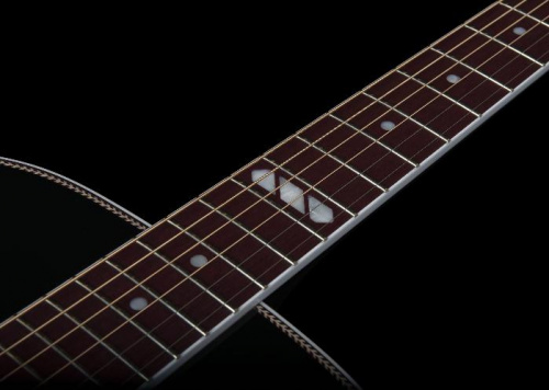 Электроакустическая гитара SEAGULL 047734 - Artist Limited Tuxedo Black EQ with TRIC - JCS.UA фото 8