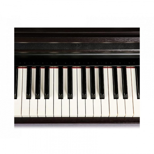 Цифровое пианино The ONE TOP2 (Rosewood) - JCS.UA фото 5