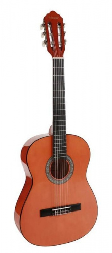 Классическая гитара Salvador Cortez CG-134-NT - JCS.UA