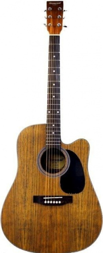 Акустична гітара MAXWOOD MD-6646C - JCS.UA