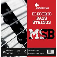 Струни для бас-гітари Gallistrings MSB40105 4 STRINGS REGULAR CUSTOM - JCS.UA