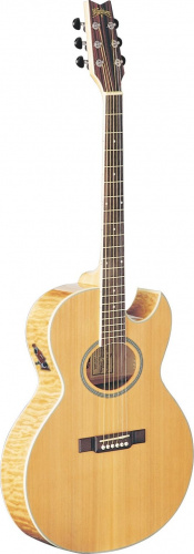 Електроакустична гітара Washburn EA20 SDL - JCS.UA