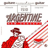Струны для акустической гитары SAVAREZ Argentine 1510 Jazz Guitar - JCS.UA