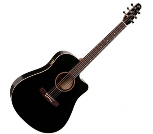 Электроакустическая гитара SEAGULL 034208 - Entourage CW Black GT QI - JCS.UA фото 2