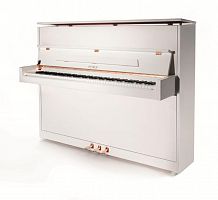 Акустическое фортепиано Petrof P118S1-0001 - JCS.UA