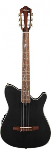Гітара класична IBANEZ TOD10N-BKF  - JCS.UA
