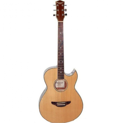 Акустична гітара MAXWOOD MD-6628 - JCS.UA