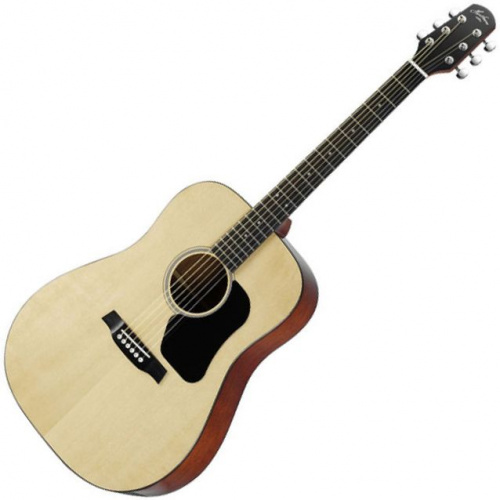 Акустическая гитара Walden Hawthorne HD220/B - JCS.UA фото 2