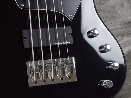 Бас-гитара ESP E-II GB-5 (Black) - JCS.UA фото 7