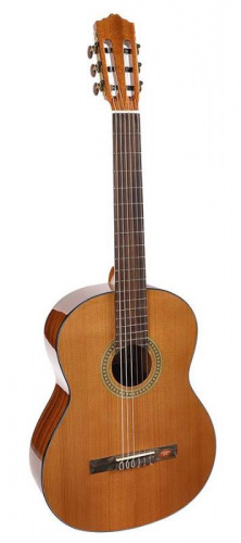 Классическая гитара Salvador Cortez CC-10 - JCS.UA фото 2