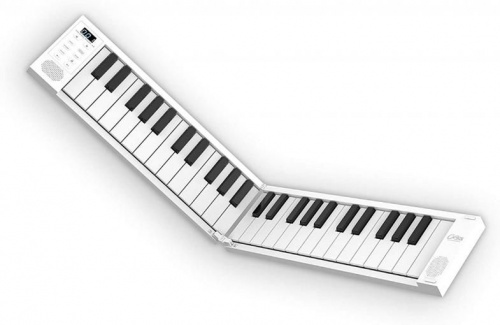 Цифровое пианино Blackstar CARRY ON Folding Piano 49 - JCS.UA