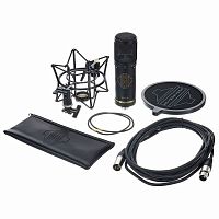 Мікрофон SONTRONICS STC-2 PACK BLACK - JCS.UA