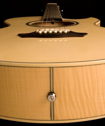 Электроакустическая гитара Washburn EA20 TS - JCS.UA фото 4