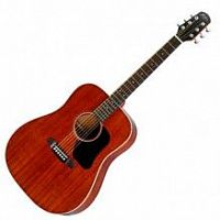 Акустична гітара Walden Hawthorne HD221 / B - JCS.UA