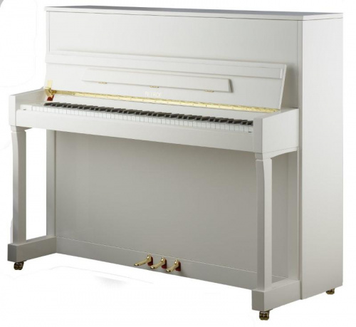 Акустическое фортепиано Petrof P122N2-0001 - JCS.UA