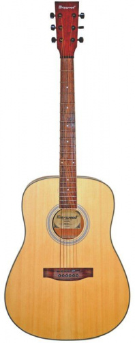 Акустична гітара MAXWOOD MD6621+ - JCS.UA