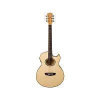 Электроакустическая гитара Washburn EA20 TS - JCS.UA