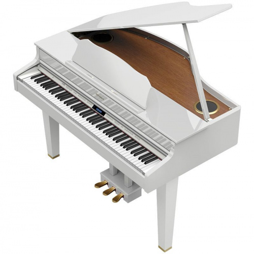 Міні-рояль Roland GP607PE - JCS.UA фото 2