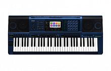 Клавішний інструмент Casio MZ-X500 - JCS.UA