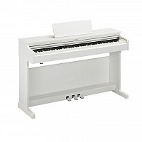 Цифрове піаніно YAMAHA ARIUS YDP-165 (White) - JCS.UA