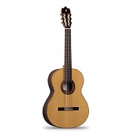 Класична гітара Alhambra Iberia Ziricote BAG - JCS.UA