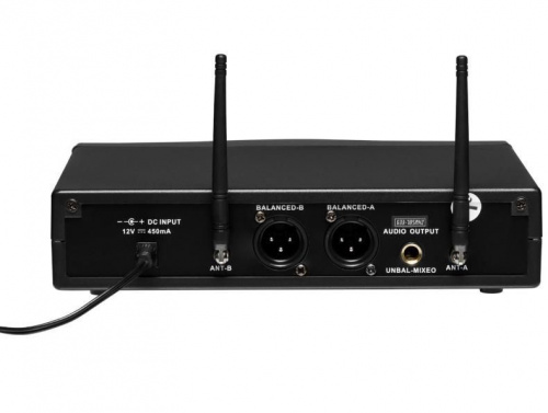 Двухканальная базовая станция DV audio MGX-2 - JCS.UA фото 2