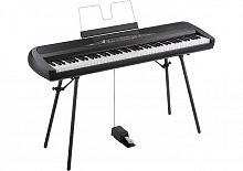 Цифрове піаніно Korg SP-280 - JCS.UA