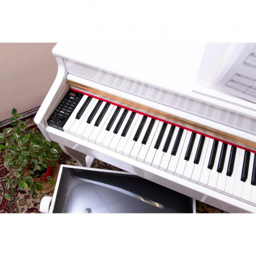 Цифровое пианино Alfabeto Allegro (White) - JCS.UA фото 6