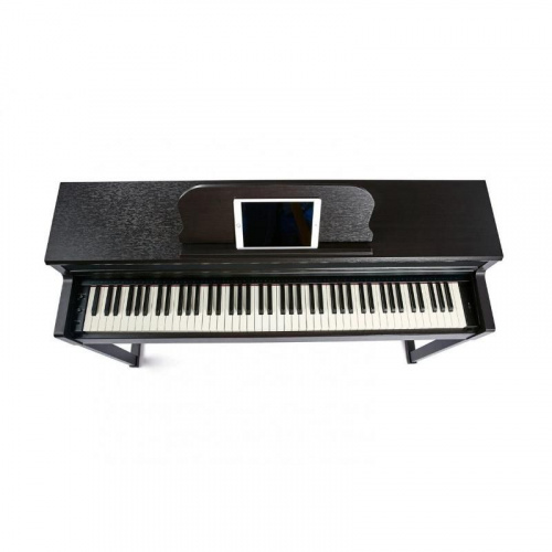 Цифрове піаніно The ONE TOP2 (Rosewood) - JCS.UA фото 4