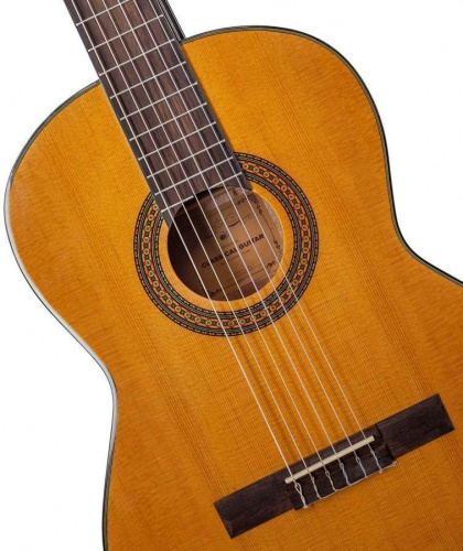 Классическая гитара Alfabeto SAPELE CS39G + чехол (bag) - JCS.UA фото 4