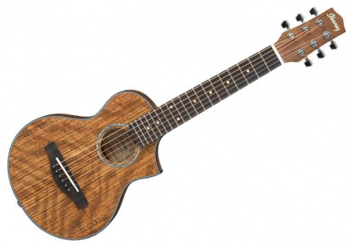 Акустическая гитара IBANEZ EWP14WB OPN - JCS.UA фото 4
