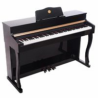 Цифровое пианино Alfabeto Maestro (Black) BK - JCS.UA