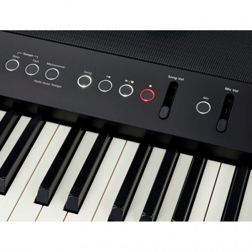 Цифровое пианино Roland FP-90X Black - JCS.UA фото 10