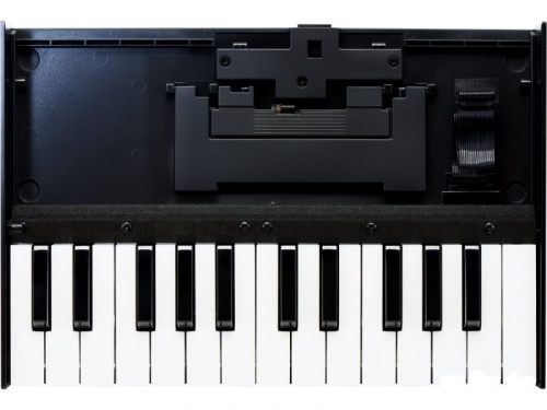 Клавиатура ROLAND K25m - JCS.UA