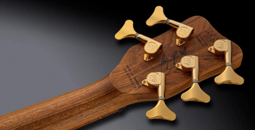 Бас-гитара WARWICK Teambuilt Pro Series Thumb BO5 Ltd 2020, 5-String (Natural Transparent Satin) - JCS.UA фото 6