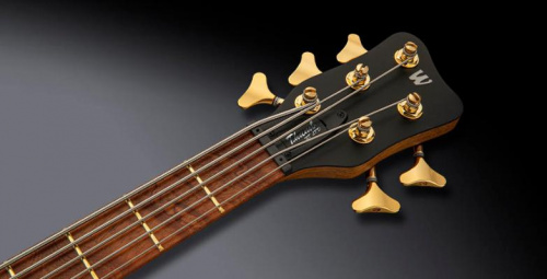 Бас-гитара WARWICK Teambuilt Pro Series Thumb BO5 Ltd 2020, 5-String (Natural Transparent Satin) - JCS.UA фото 5