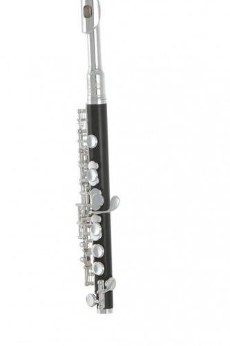 Флейта-пикколо Roy Benson PC-502 - JCS.UA фото 3