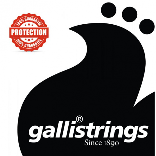 Струны для мандолины Gallistrings G1420 - JCS.UA фото 2