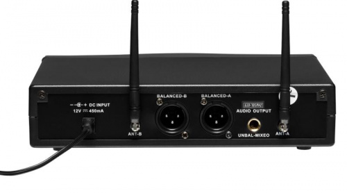 Радіосистема DV audio MGX-24B - JCS.UA фото 2