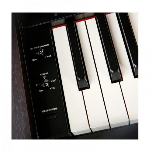 Цифрове піаніно The ONE TOP2 (Rosewood) - JCS.UA фото 8