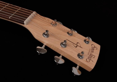 Электроакустическая гитара S&P 039715 - Trek Nat Solid Spruce SG EQ - JCS.UA фото 6
